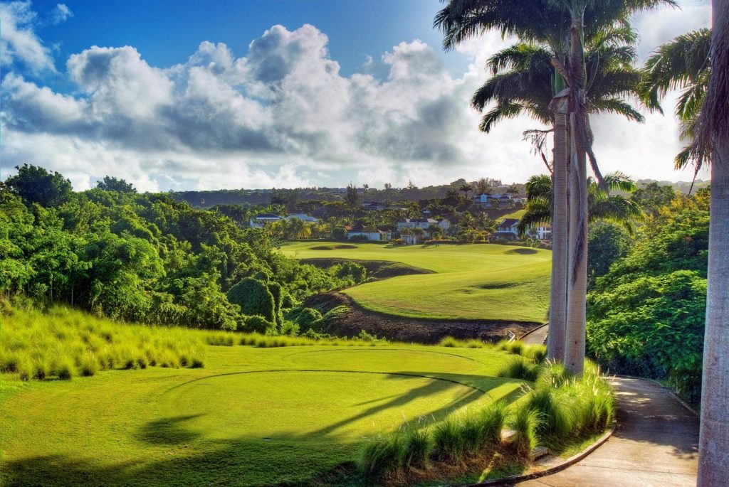 Manicured Royal Westmoreland fairway framed by tall royal palms